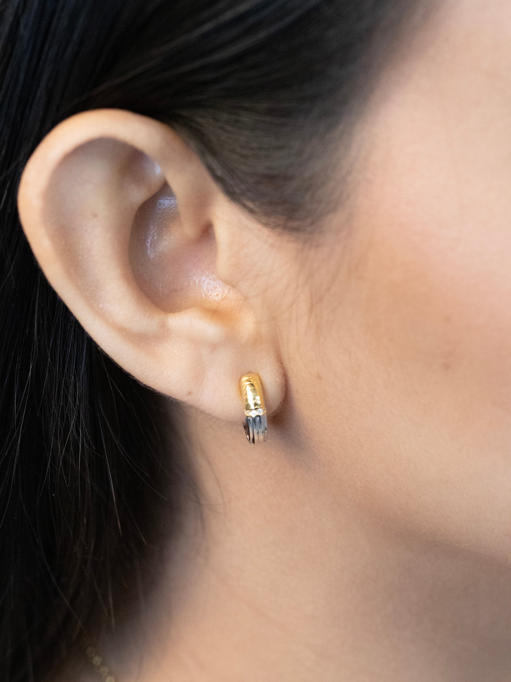 Two Tone Multi-surface Earring